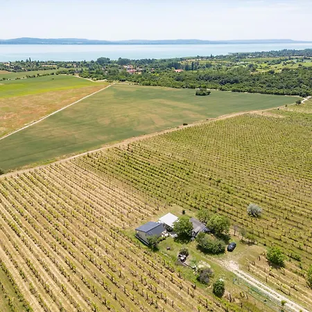 Ermenes 2 - The Vineyard Retreat With Panoramic Views On Balaton 펜션