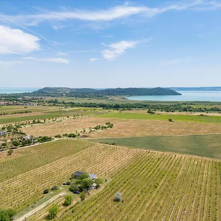 Дом отдыха Ermenes 2 - The Vineyard Retreat With Panoramic Views On Balaton *