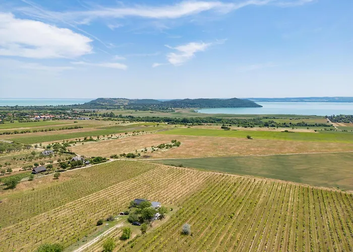 Semesterbostad Ermenes 2 - The Vineyard Retreat With Panoramic Views On Balaton *